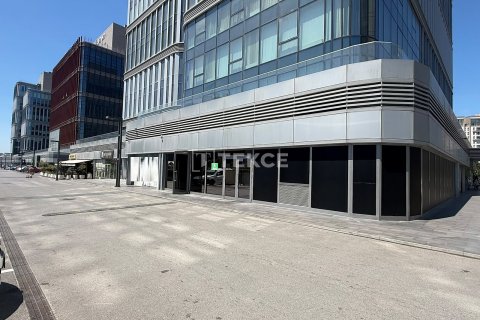 Kommersiella fastigheter  i istanbul, Turkiet Nr. 170536 - 8