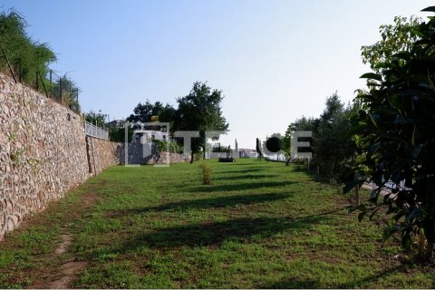 5+1 Villa  i Alanya, Antalya, Tyrkiet Nr. 193888 - 13