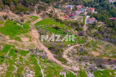 Продажа квартиры  в Аланье, Анталье, Турция, 1000м2, №189771 – фото 16