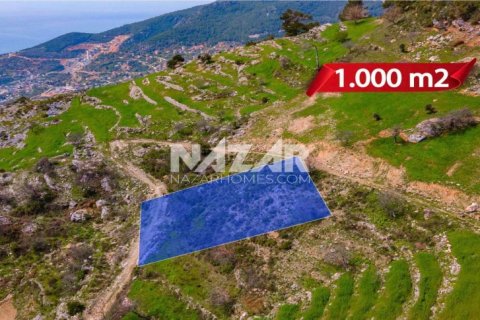 Продажа квартиры  в Аланье, Анталье, Турция, 1000м2, №189771 – фото 5