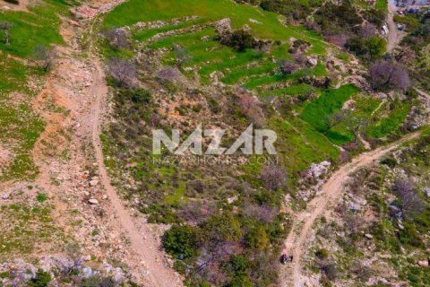 Продажа квартиры  в Аланье, Анталье, Турция, 1000м2, №189771 – фото 14