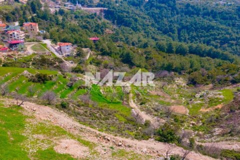 Продажа квартиры  в Аланье, Анталье, Турция, 1000м2, №189771 – фото 18