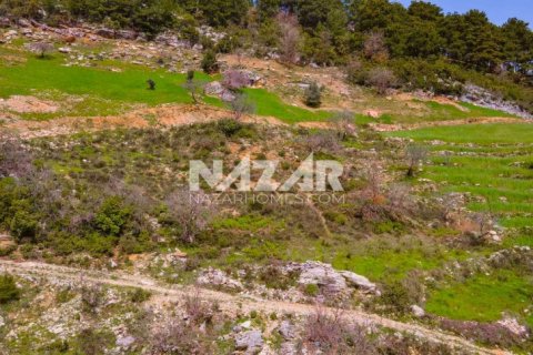 Продажа квартиры  в Аланье, Анталье, Турция, 1000м2, №189771 – фото 7