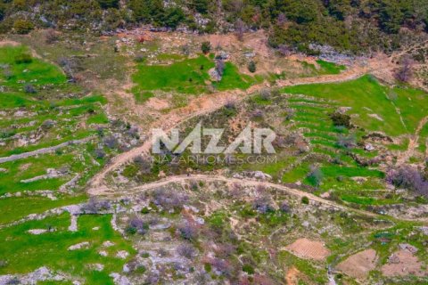 Продажа квартиры  в Аланье, Анталье, Турция, 1000м2, №189771 – фото 17