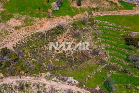 Продажа квартиры  в Аланье, Анталье, Турция, 1000м2, №189771 – фото 19