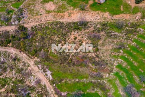 Продажа квартиры  в Аланье, Анталье, Турция, 1000м2, №189771 – фото 12