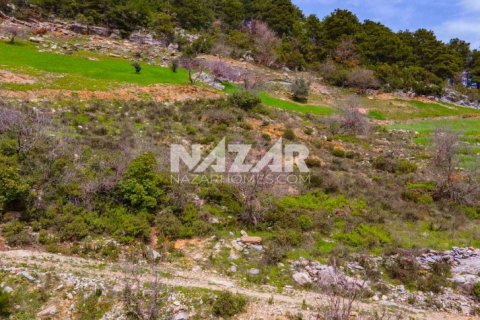 Продажа квартиры  в Аланье, Анталье, Турция, 1000м2, №189771 – фото 23