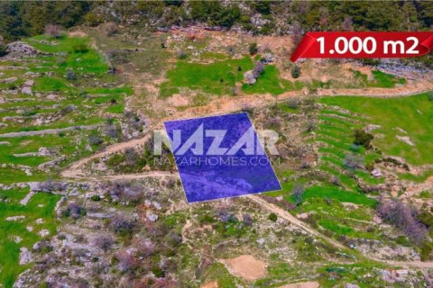 Продажа квартиры  в Аланье, Анталье, Турция, 1000м2, №189771 – фото 8