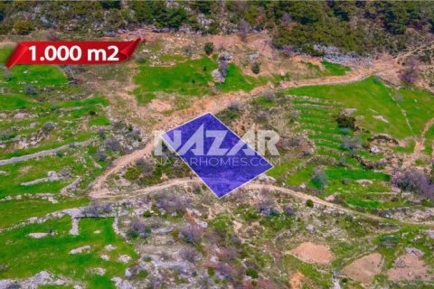 Продажа квартиры  в Аланье, Анталье, Турция, 1000м2, №189771 – фото 9