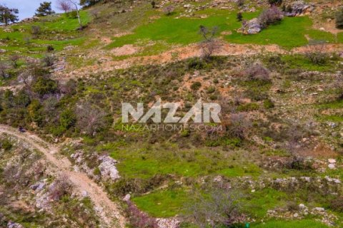 Продажа квартиры  в Аланье, Анталье, Турция, 1000м2, №189771 – фото 10