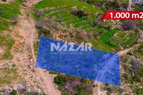 Продажа квартиры  в Аланье, Анталье, Турция, 1000м2, №189771 – фото 4