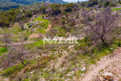 Продажа квартиры  в Аланье, Анталье, Турция, 1000м2, №189771 – фото 13