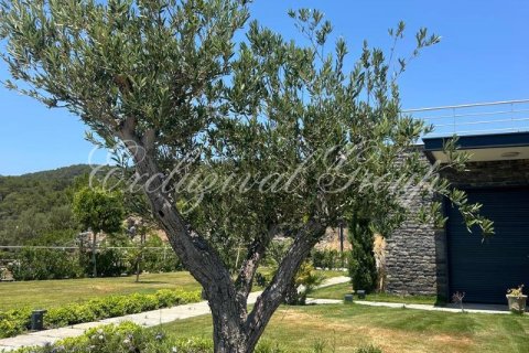 Villa  5+2  Bodrum, Muratpaşa, Türkiye №179278 - 15