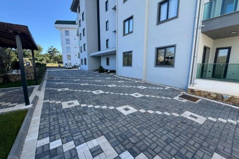 Продажа квартиры  в Авсалларе, Анталье, Турция 3 комн., 63м2, №193541 – фото 7