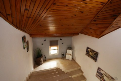 Продажа виллы  в Каргыджаке, Аланье, Анталье, Турция 6 комн., 357м2, №193539 – фото 17