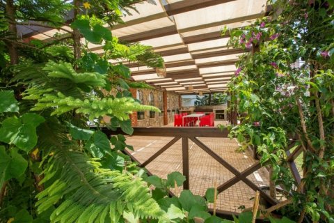 Daire Tosmur, Alanya, Antalya, Türkiye №193244 - 8