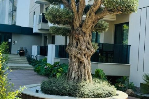 Lejlighed  i Oba, Antalya, Tyrkiet Nr. 194354 - 21