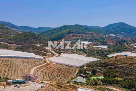 Продажа квартиры  в Аланье, Анталье, Турция, 538м2, №189756 – фото 6