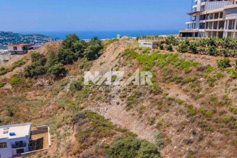 Продажа квартиры  в Аланье, Анталье, Турция, 538м2, №189756 – фото 8