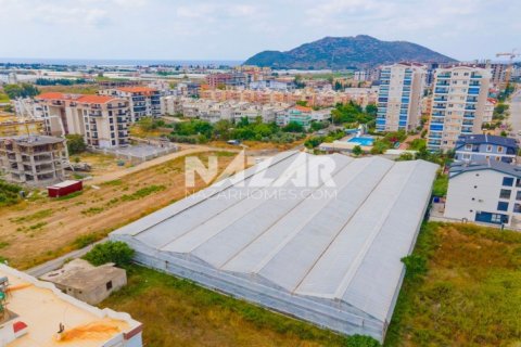 Продажа квартиры  в Газипаше, Анталье, Турция студия, 5163м2, №189755 – фото 12