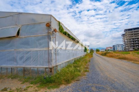 Продажа квартиры  в Газипаше, Анталье, Турция студия, 5163м2, №189755 – фото 14