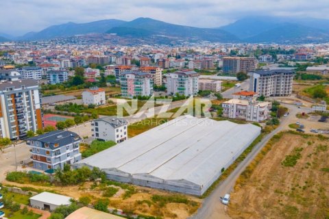 Продажа квартиры  в Газипаше, Анталье, Турция студия, 5163м2, №189755 – фото 6
