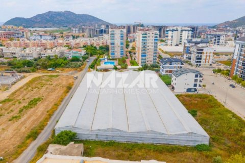 Продажа квартиры  в Газипаше, Анталье, Турция студия, 5163м2, №189755 – фото 3