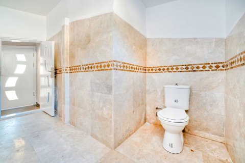 4+1 Takvåning  i Alanya, Antalya, Turkiet Nr. 183864 - 15