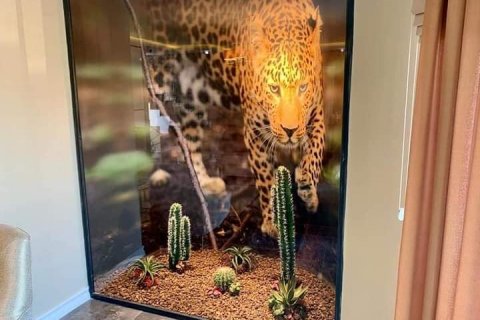 Villa 4+1 Alanya, Antalya, Türkiye №183917 - 9