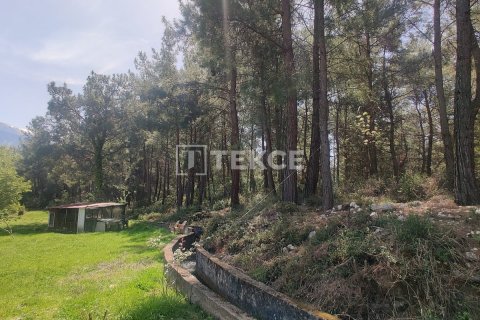 Villa  4+2  Muğla, Türkiye №191245 - 9
