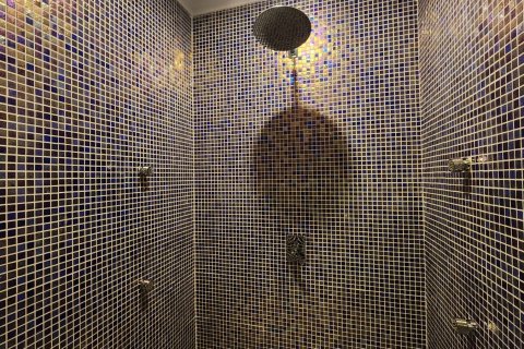 Daire  1+1  Avsallar, Antalya, Türkiye №186787 - 20