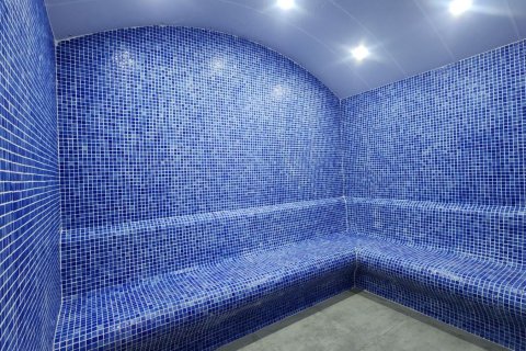 Daire  1+1  Avsallar, Antalya, Türkiye №186787 - 14