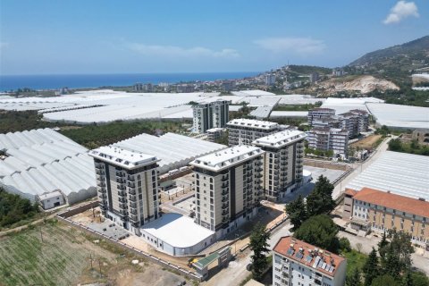 Продажа квартиры  в Демирташе, Аланье, Анталье, Турция 1+1, 50м2, №42806 – фото 4