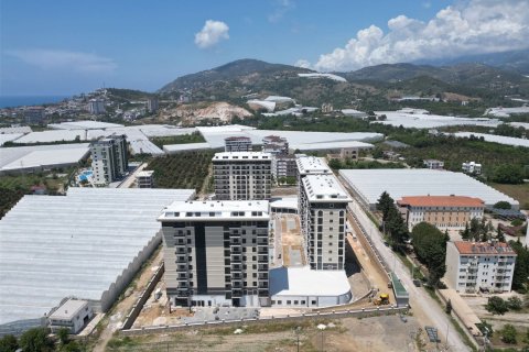 Продажа квартиры  в Демирташе, Аланье, Анталье, Турция 1+1, 50м2, №42806 – фото 3