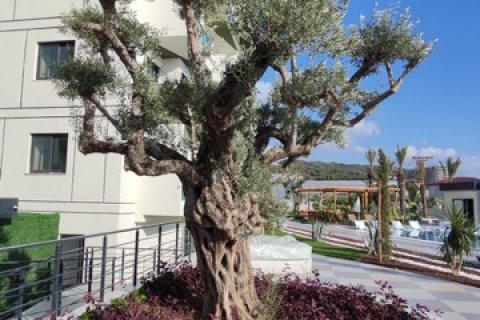 1+1 Lejlighed  i Antalya, Tyrkiet Nr. 184553 - 20