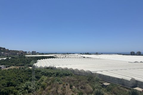 1+1 Lägenhet  i Antalya, Turkiet Nr. 184554 - 16