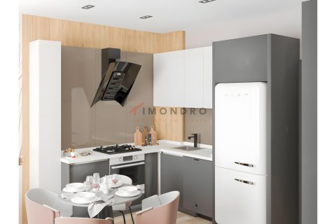 1+1 Wohnung  in Aksu, Antalya, Türkei Nr. 192033 - 20