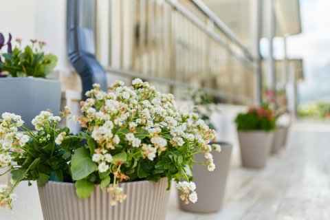 ویلا در  Kemer ، ترکیه 3 خوابه ، 120 متر مربع.  شماره 185275 - 26