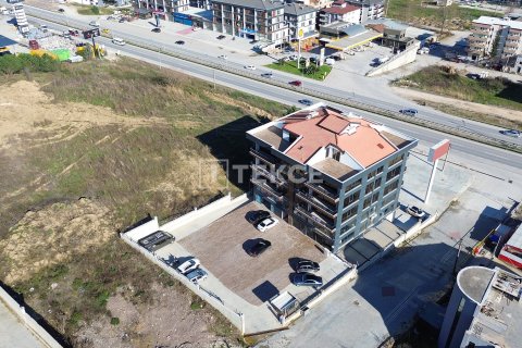 ملک تجاری در  Yalova ، ترکیه 625 متر مربع.  شماره 187578 - 19