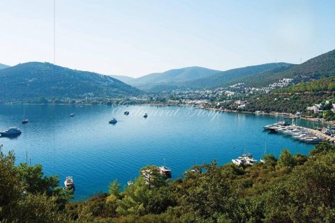 Продажа виллы  в Бодруме, Мугле, Турция 4+2, 302м2, №192572 – фото 21