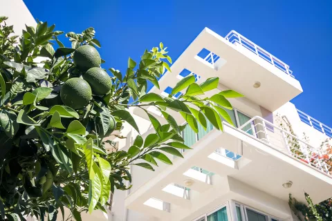 Lejlighed  i Alsancak, Girne,  Nr. 211132 - 3