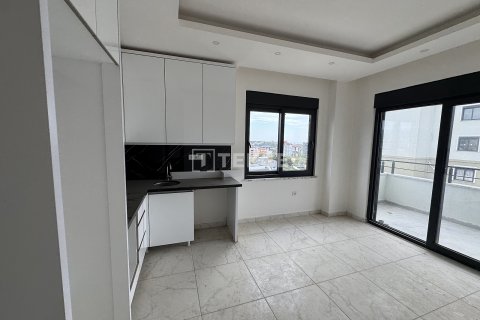 1+1 Wohnung  in Alanya, Antalya, Türkei Nr. 186997 - 12