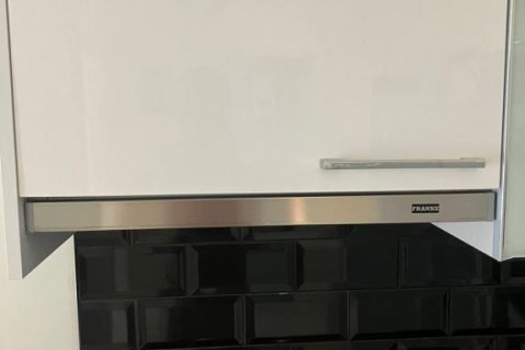 آپارتمان در  Kestel ، ترکیه 55 متر مربع.  شماره 193274 - 7